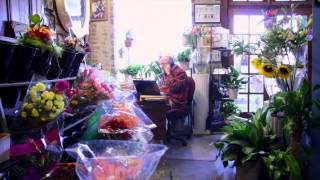 John Harkins: The Florist