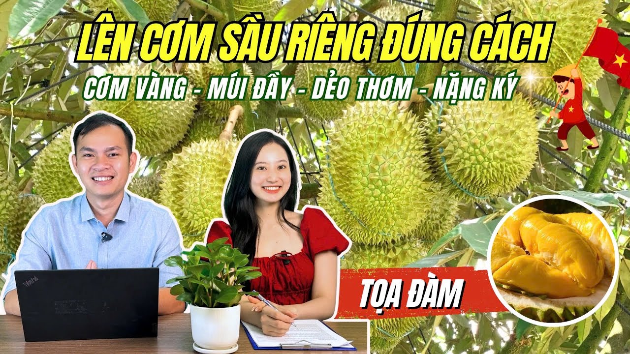 Agrino | LÊN CƠM SẦU RIÊNG ĐÚNG CÁCH - GIAI ĐOẠN VÀNG QUYẾT ĐỊNH CHẤT LƯỢNG & GIÁ BÁN