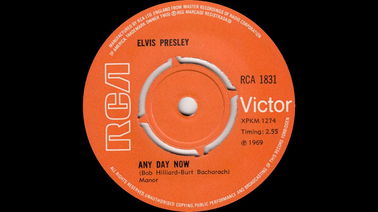 Elvis Presley Any Day Now YouTube