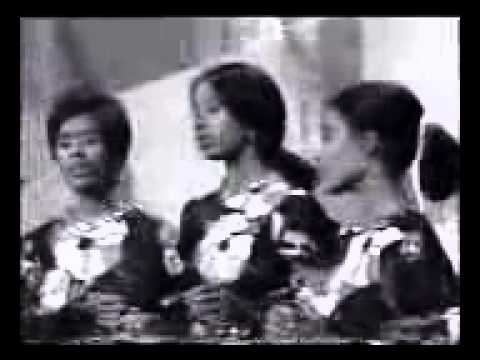 البـلابـل عـشـة صـغيـرة 