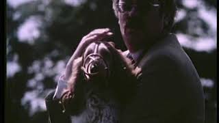 Keep Rabies Out Public Information Film PIF 1976 CLIP