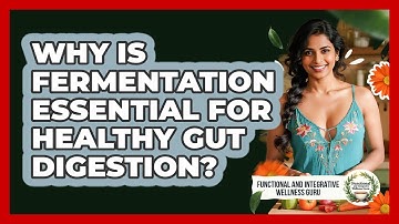 Why Is Fermentation Essential For Healthy Gut Digestion? - Functional and Integrative Wellness Guru