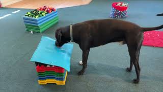 How To Set Up Ace Free Work