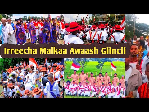Irreecha Malkaa Awaash Giincii 2025