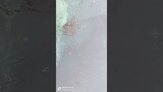 Atri Hot Water Complex Odisha