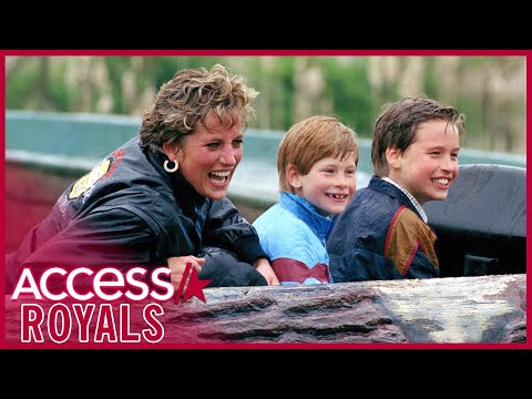Princess Diana's Adventures With Prince Harry & Prince William
