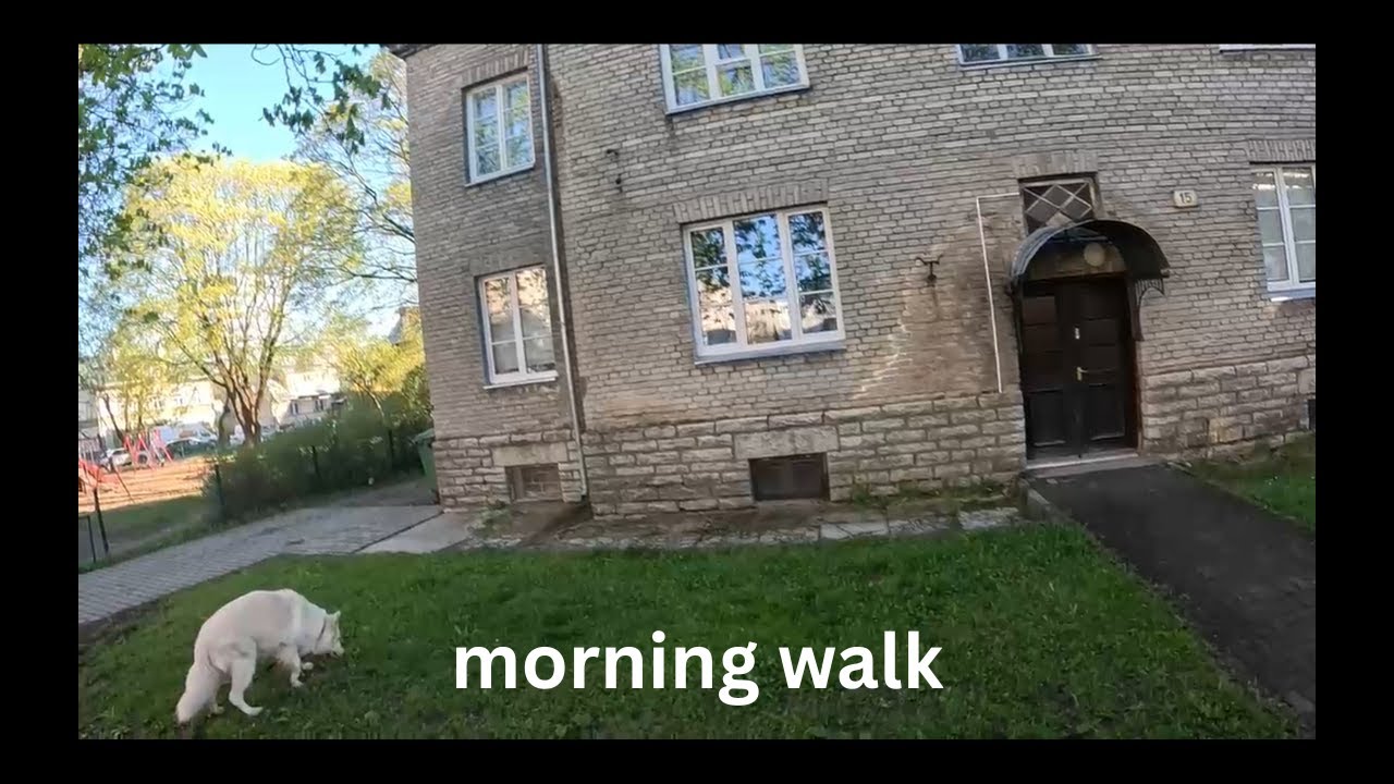 Peaceful POV Dog Walk + Leash Pulling Training