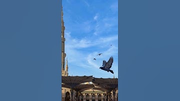 ما شاء الله تبارك الله #duet #اكسبلور #تلاوة_خاشعة