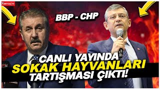 Özgür Özel ve Mustafa Destici arasında canlı yayında sokak hayvanları tartışması