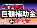 【開始間近】補助金と給付金・６月下旬開始超巨大補助金・中堅・中小成長投資補助金と事業給付金・大規模成長投資補助金 【中小企業診断士・行政書士 マキノヤ先生】第2200回