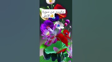 ماتيسر من سورة الاعلى #دعاء #اكسبلور #دعاء #دعاء #ترند #fypyoutube #قران كريم 🍦