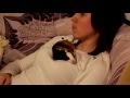 Guinea Pig sleeping like a cat | Морская свинка спит как кот