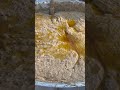 هريس اماراتي هريس اماراتي