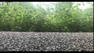 Task week 1 {stop motion}