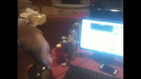 HOW TO GET A STARCRAFT 2: HOTS BETA KEY FOR FREE