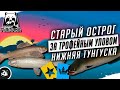 Русская Рыбалка 4 — Стрим. За трофеями на Нижнюю Тунгуску и Старый-Острог.