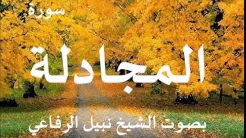 سورة المجادلة بصوت الشيخ / نبيل الرفاعي 58