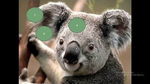 cara membuat tombol navigasi di power point dr  vidio mp4