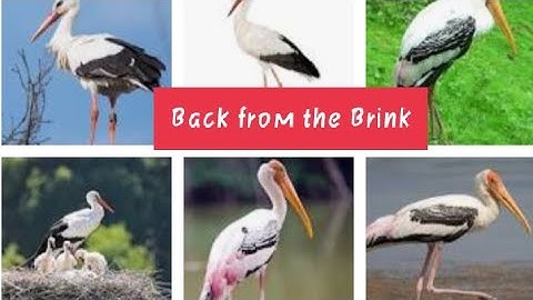 English Alive !! Class - 7th!! Ch-5 (Back from the Brink) Part-2