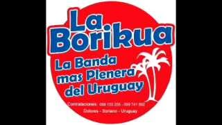 Video thumbnail of "La Borikua - Dejame entrar"