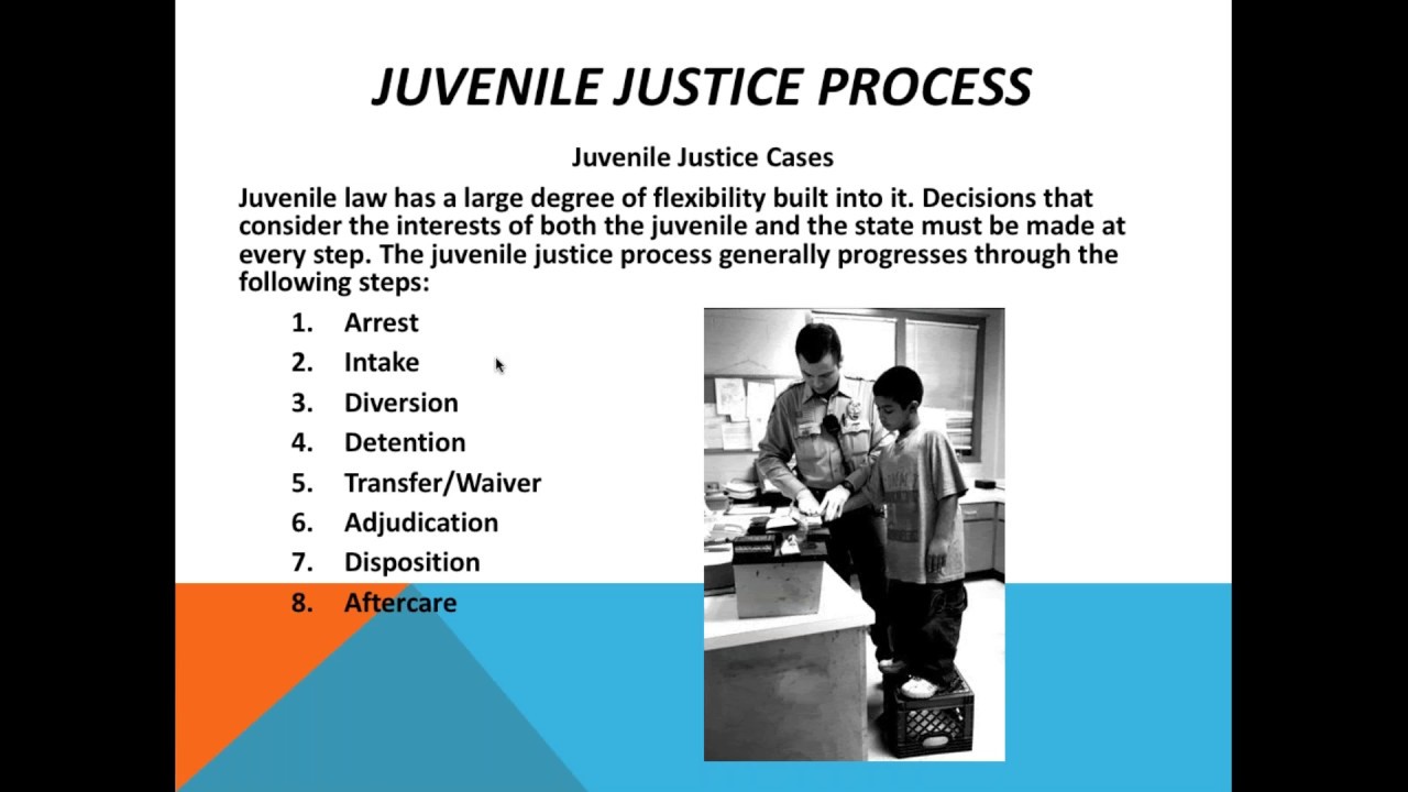Lunch Learn Webinar Series Navigating The Juvenile Justice System 