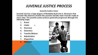 Lunch & Learn Webinar Series: Navigating The Juvenile Justice System