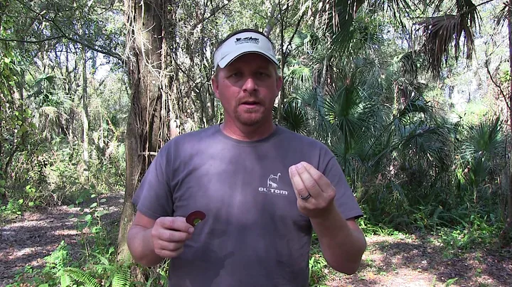 How to use a mouth call with Scott Ellis-Turkey Ca...