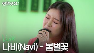 [LIVE] 나비 - 봄별꽃