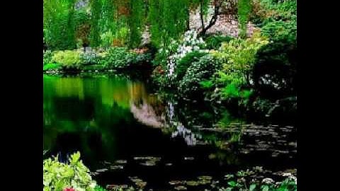 القارئ:عبدالعزيز الحكمي.