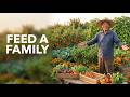 How Amish Families Feed 12 People From a Backyard Garden