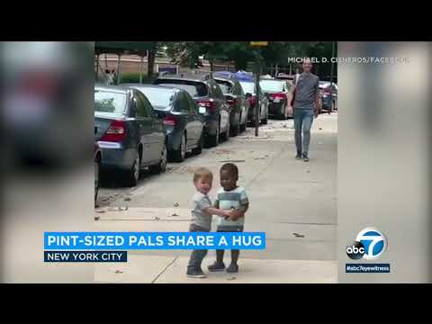 toddler-'besties'-running-to-hug-each-other-in-nyc-go-viral-|-abc7