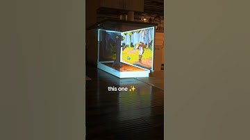 help how do I do this in 3d #toothless #aftereffects #opticalillusion #projectionmapping #projector