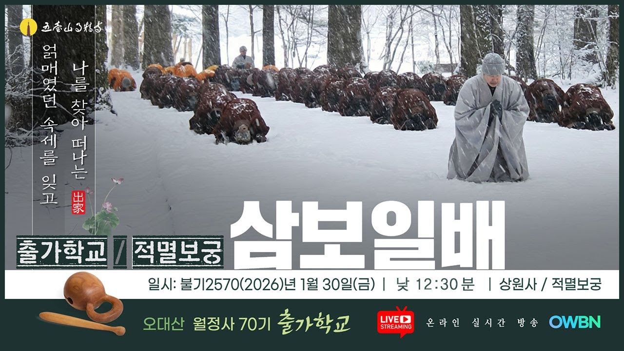 고된 수행의 끝판왕, 눈 속 삼보일배 | 중대사자암~적멸보궁 |  월정사 단기출가학교(70기)!!!