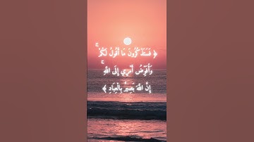 السورة: غافر القارئ: خالد الجليل الاية: 44