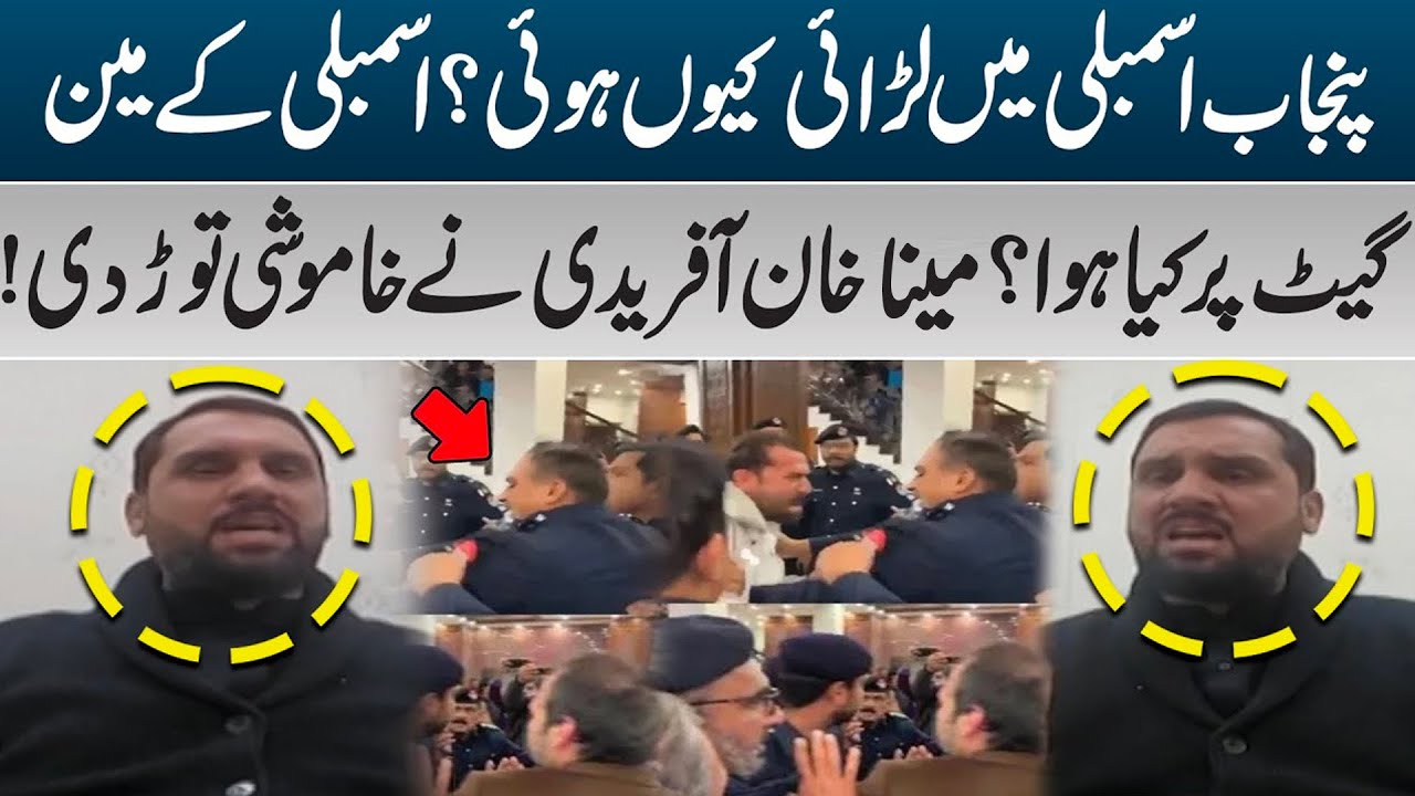 Why Did a Clash Occur in Punjab Assembly? Meena Khan Afridi Breaks Silence | PK Politics