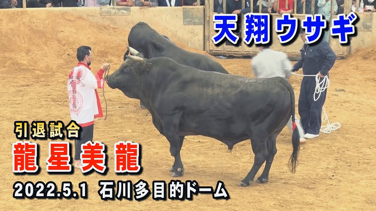 龍星美龍 VS 天翔ウサギ 　2022.5.1(R4)