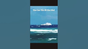 Chuyến Tàu Cao Tốc đi Côn Đảo!#youtube #youtubeshorts #trending #trendingshorts #trend #food