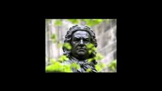 Johann Sebastian Bach - Flute sonata BWV 1030