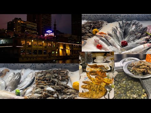 تجربتي في احلي واشيك مطعم اسماك ومأكولات بحريه في القاهره سي جل  