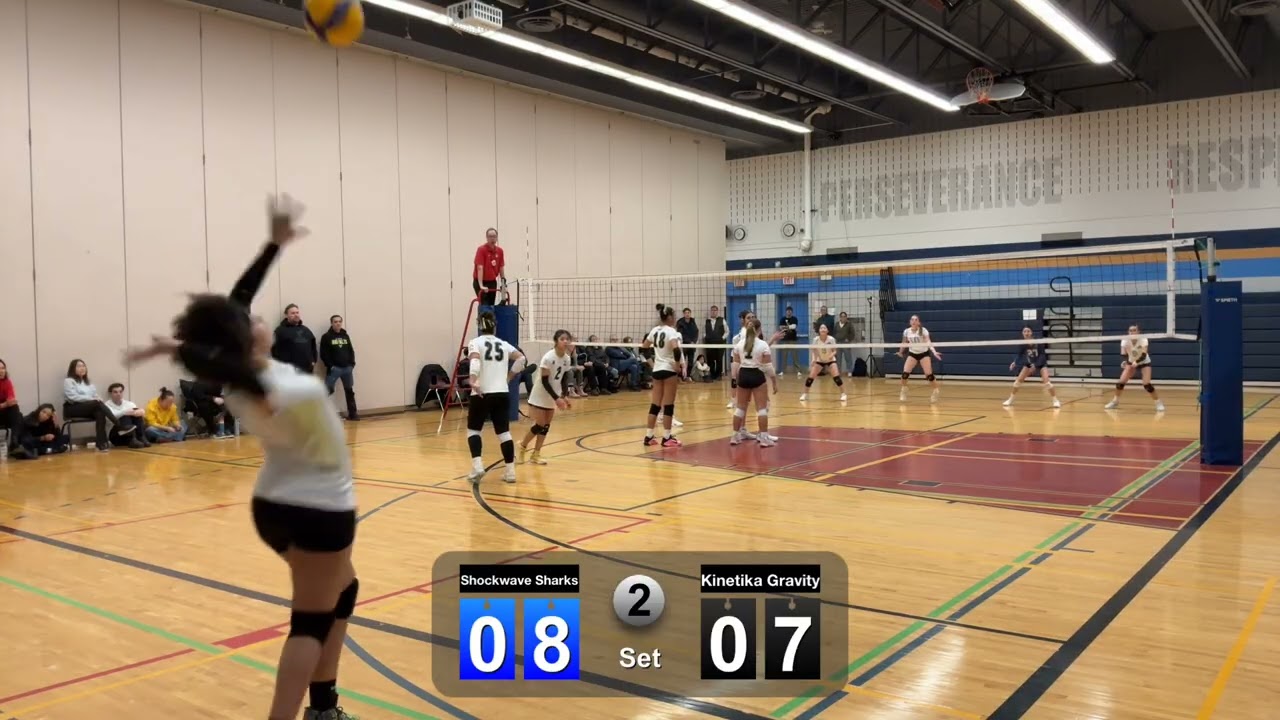 Gravity Vs Shockwave Sharks Set 2