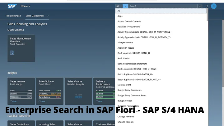 Enterprise Search in SAP Fiori - SAP S/4 HANA