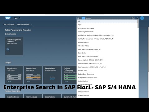 Enterprise Search in SAP Fiori - SAP S/4 HANA