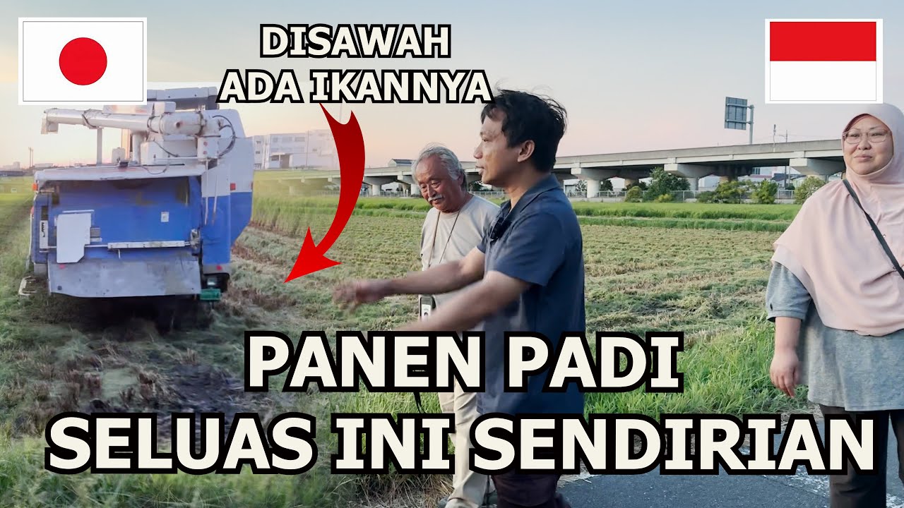 TIBA2 DITELPON SAMA BOS TANAH! DISURUH DATANG KE SAWAH WAKTU PANEN PADI