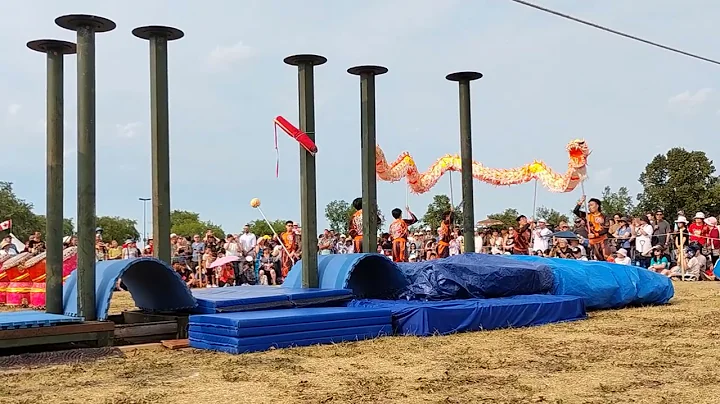 Dragon Dance 舞龍 Edmonton heritage festival 2024 加拿大弘德文化體育會 Hong De Cultural & Athletic Association. - 天天要聞