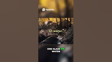 One Push-Up a Day Start Small, Win Big | Momentum Hack  #atomichabits #selfimprovement #motivation