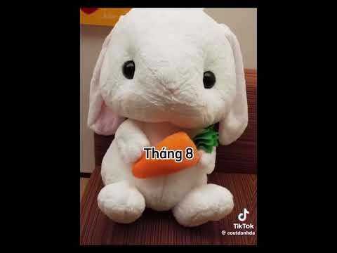 dạo này lười
