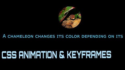 Changing Text Color Animation using CSS & keyframes