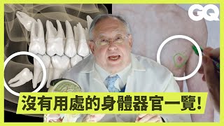 人為什麼要有智齒、闌尾生物學教授解釋從頭到腳各種「無用處」人體器官科普長知識GQ Taiwan