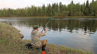 Рыбалка Про Охоту На Медведя. Открылся Сезон Рыбалки По Открытой Воде. Поймал На Уху Свежую Рыбу.