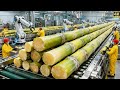 Inside the sugar factory | How to make sugar factory